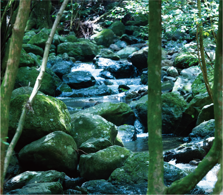 世知原少年自然の家